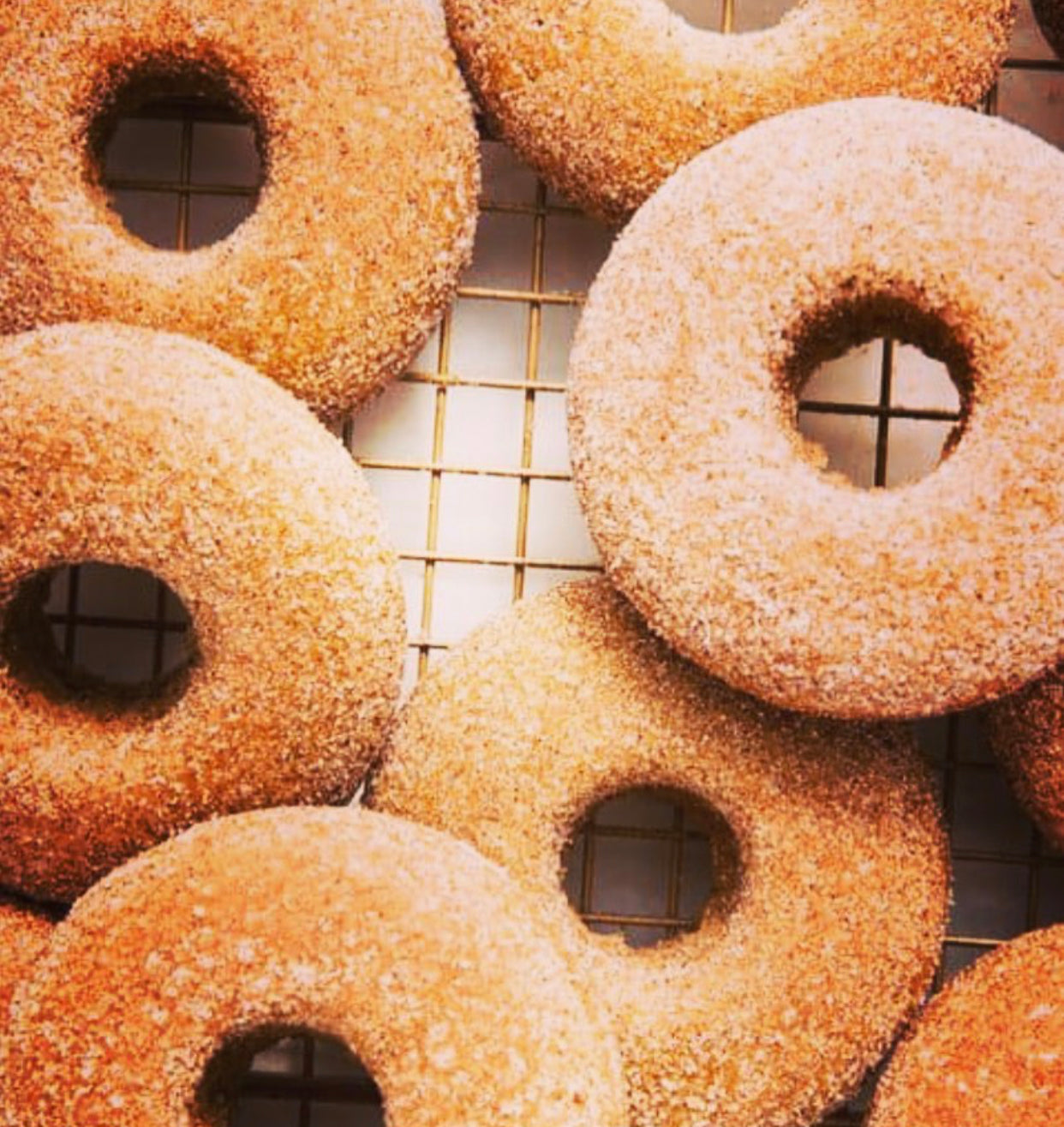 Parlor Gluten Free & Vegan Vanilla Doughnut Mix - Four 10 lb. Service Sized Bags (40 #)